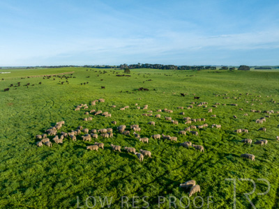 October 2022 / Mt-Shank-221018--95