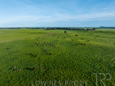 October 2022 / Mt-Shank-221018--96