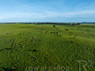 October 2022 / Mt-Shank-221018--97