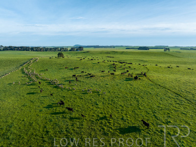 October 2022 / Mt-Shank-221018--98