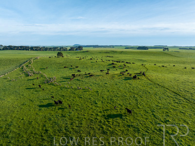 October 2022 / Mt-Shank-221018--99