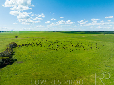 October 2022 / Mt-Shank-221018-0268