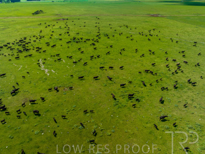 October 2022 / Mt-Shank-221018-0271