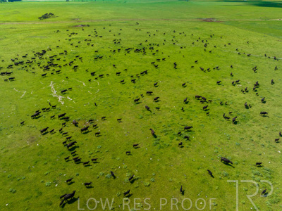 October 2022 / Mt-Shank-221018-0274