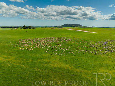 October 2022 / Mt-Shank-221018-0302