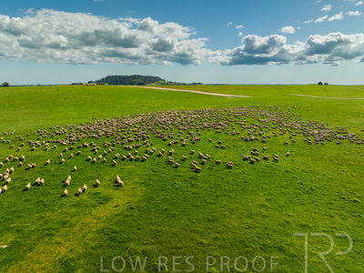 October 2022 / Mt-Shank-221018-0308