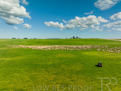 October 2022 / Mt-Shank-221018-0316