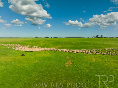 October 2022 / Mt-Shank-221018-0319