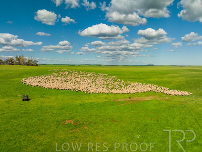 October 2022 / Mt-Shank-221018-0325