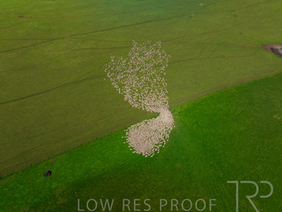 October 2022 / Mt-Shank-221018-0333