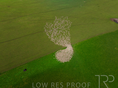 October 2022 / Mt-Shank-221018-0336