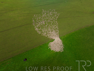 October 2022 / Mt-Shank-221018-0339