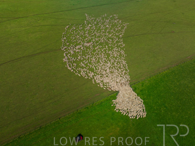 October 2022 / Mt-Shank-221018-0342