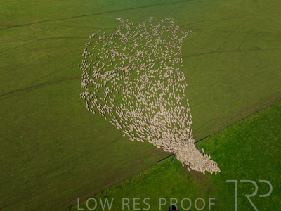 October 2022 / Mt-Shank-221018-0345