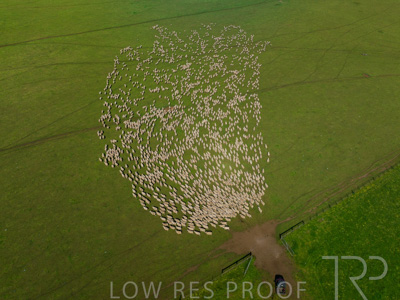 October 2022 / Mt-Shank-221018-0348