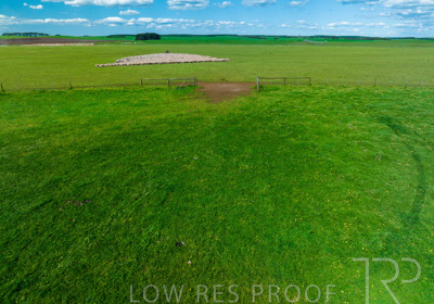 October 2022 / Mt-Shank-221018-0351