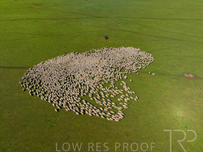 October 2022 / Mt-Shank-221018-0354