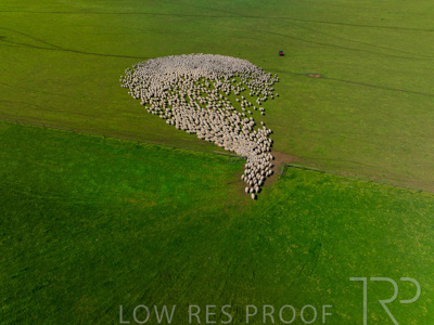 October 2022 / Mt-Shank-221018-0360