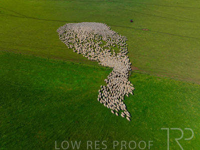 October 2022 / Mt-Shank-221018-0363