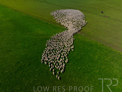 October 2022 / Mt-Shank-221018-0366