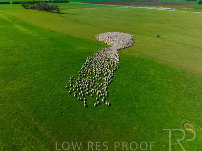 October 2022 / Mt-Shank-221018-0369