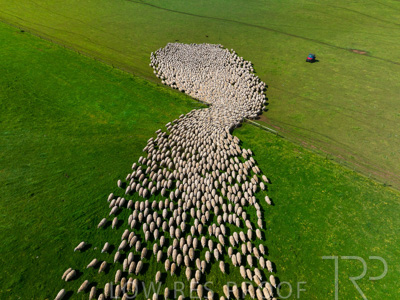 October 2022 / Mt-Shank-221018-0372