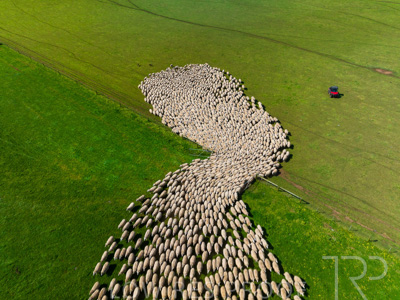 October 2022 / Mt-Shank-221018-0375