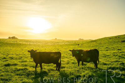 October 2022 / Mt-Shank-221018-4627