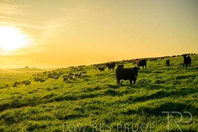 October 2022 / Mt-Shank-221018-4635