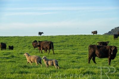 October 2022 / Mt-Shank-221018-4659