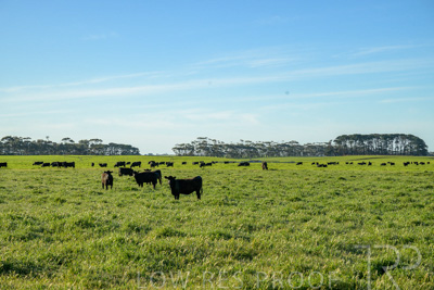 October 2022 / Mt-Shank-221018-4662