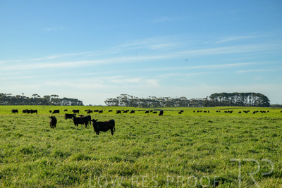 October 2022 / Mt-Shank-221018-4672