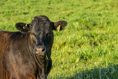 October 2022 / Mt-Shank-221018-4686