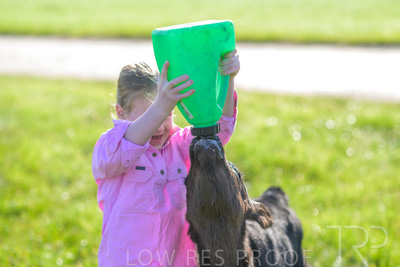 October 2022 / Mt-Shank-221018-4719