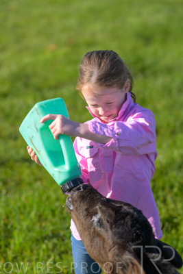 October 2022 / Mt-Shank-221018-4720