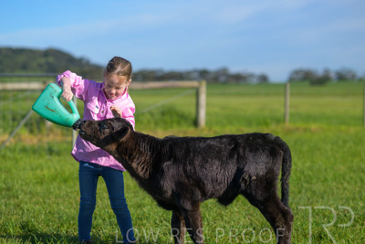 October 2022 / Mt-Shank-221018-4741