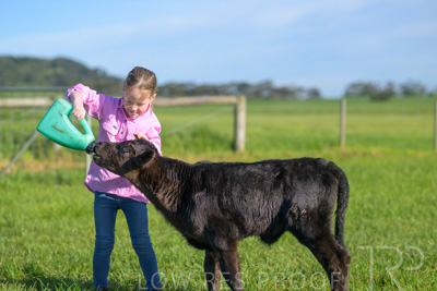 October 2022 / Mt-Shank-221018-4742