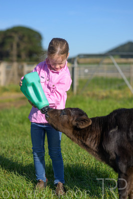 October 2022 / Mt-Shank-221018-4753