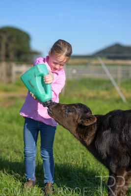 October 2022 / Mt-Shank-221018-4765