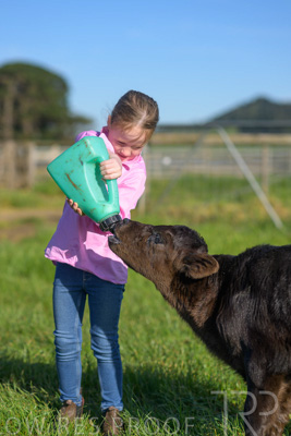 October 2022 / Mt-Shank-221018-4771