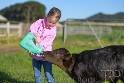 October 2022 / Mt-Shank-221018-4772