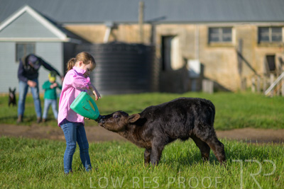 October 2022 / Mt-Shank-221018-4780