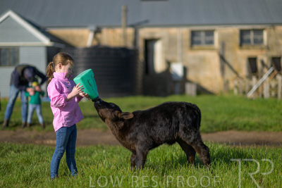 October 2022 / Mt-Shank-221018-4783