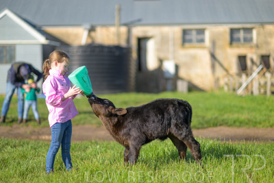 October 2022 / Mt-Shank-221018-4785