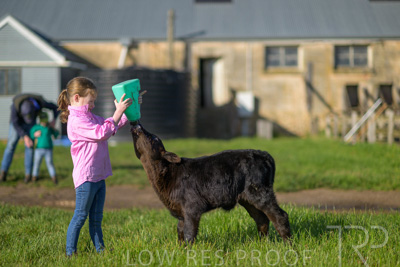 October 2022 / Mt-Shank-221018-4786