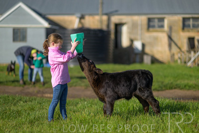 October 2022 / Mt-Shank-221018-4789