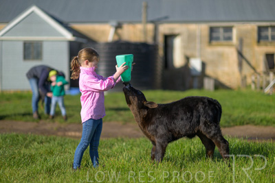 October 2022 / Mt-Shank-221018-4792