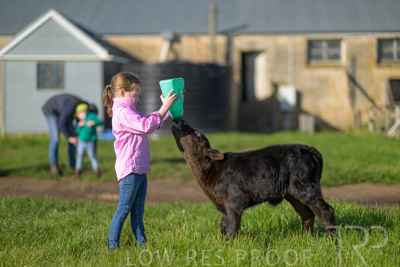 October 2022 / Mt-Shank-221018-4798