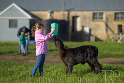 October 2022 / Mt-Shank-221018-4813