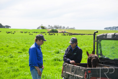 October 2022 / Mt-Shank-221018-7143